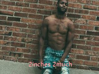 2inches_2much