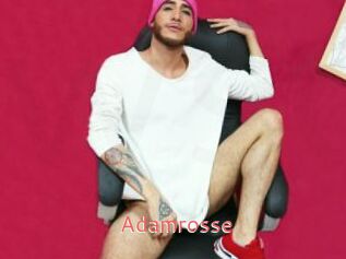 Adamrosse
