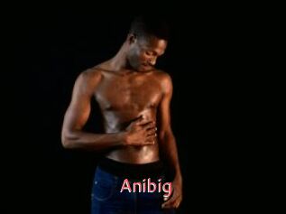Anibig