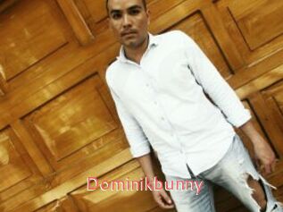 Dominikbunny