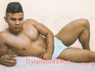 DylanStud19cm