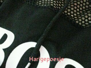 Harigepoesje