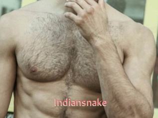 Indiansnake