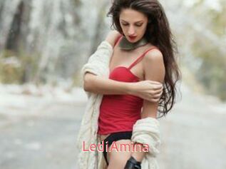 LediAmina