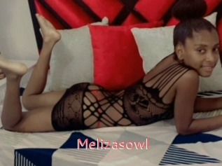 Melizasowl