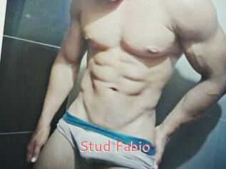 Stud_Fabio