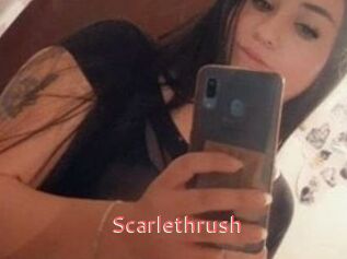Scarlethrush