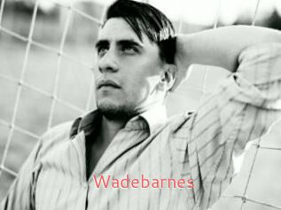 Wadebarnes